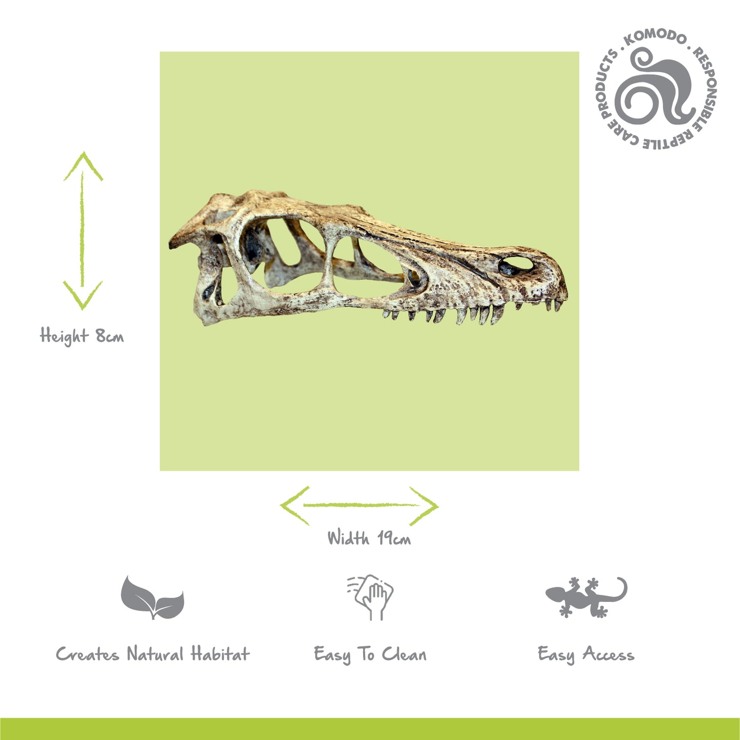 Raptor Skull