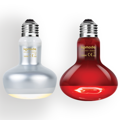 Intense Daylight & Nightlight Spot Bulbs Combo Pack