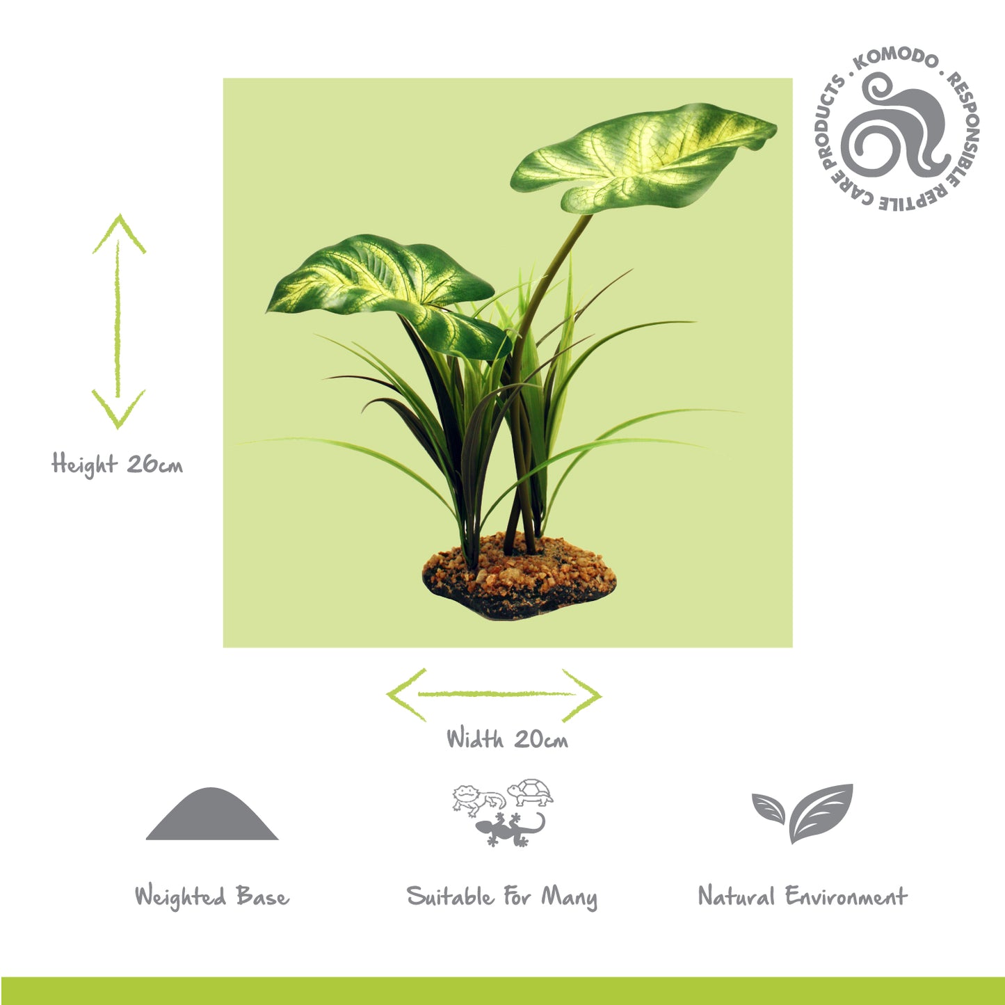 Broadleaf Canopy