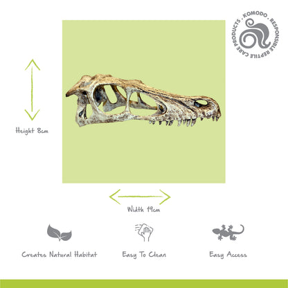 Raptor Skull